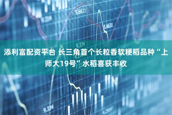 添利富配资平台 长三角首个长粒香软粳稻品种“上师大19号”水稻喜获丰收