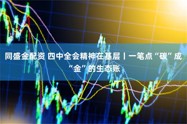 同盛金配资 四中全会精神在基层丨一笔点“碳”成“金”的生态账