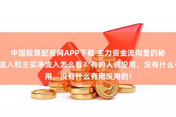 中国股票配资网APP下载 主力资金流向里的秘密！主力净流入和主买净流入怎么看？有的人说没用，没有什么有用没用的！