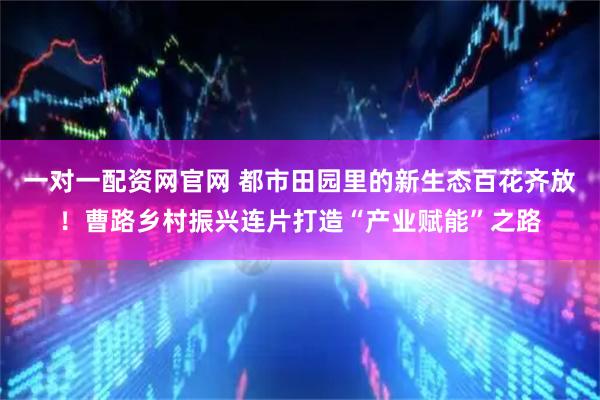 一对一配资网官网 都市田园里的新生态百花齐放！曹路乡村振兴连片打造“产业赋能”之路